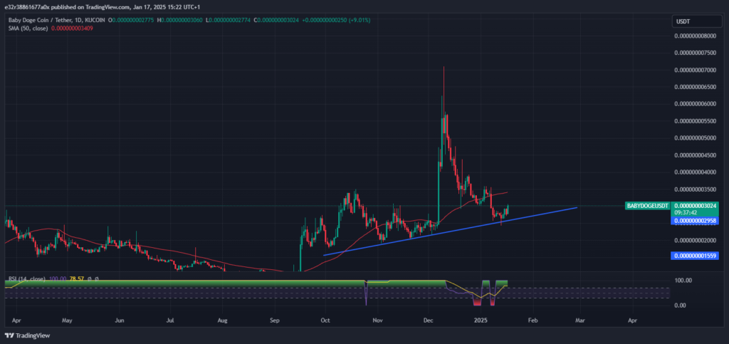 Baby Doge Coin’s performance