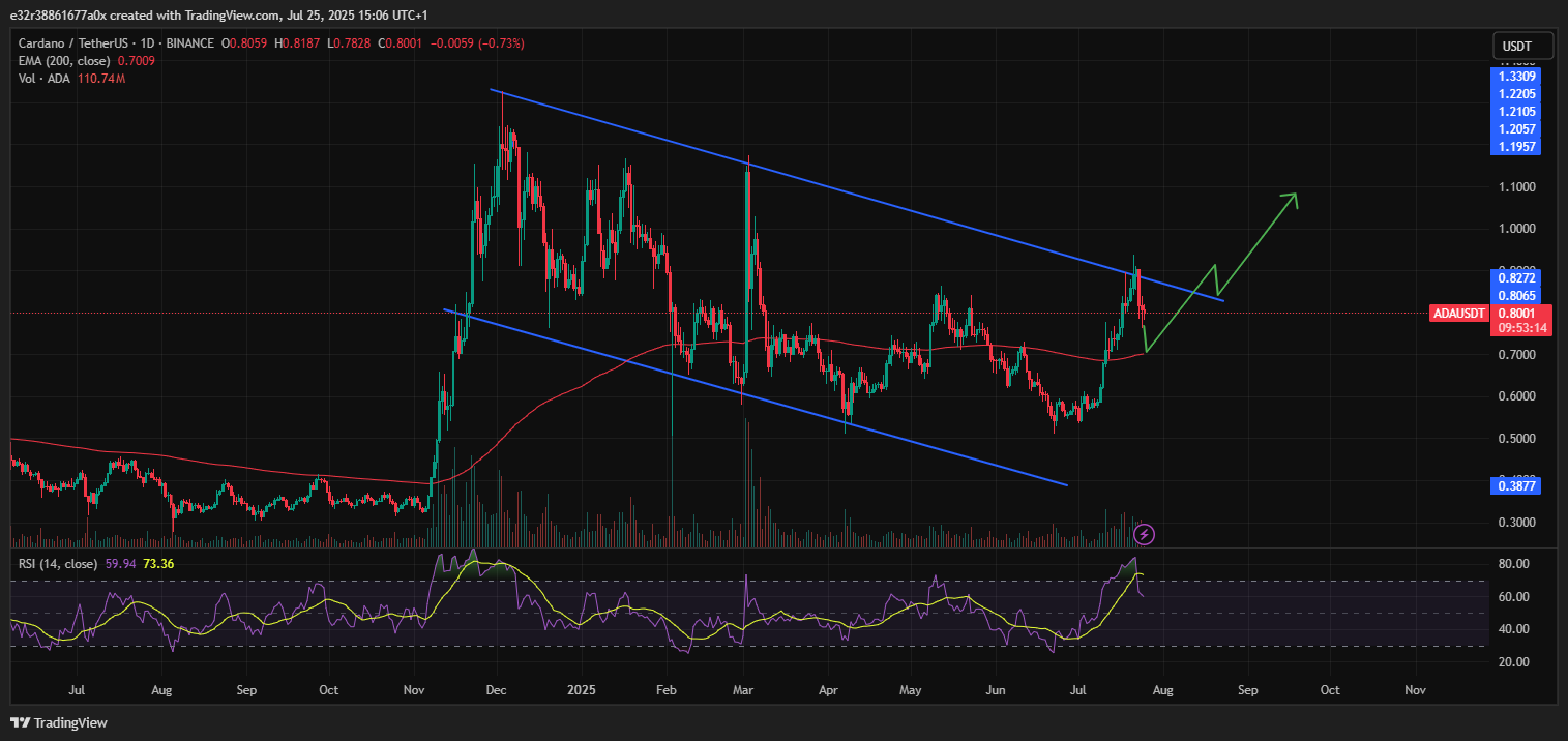 Cardano could be on the verge of a rebound | Source: TradingView