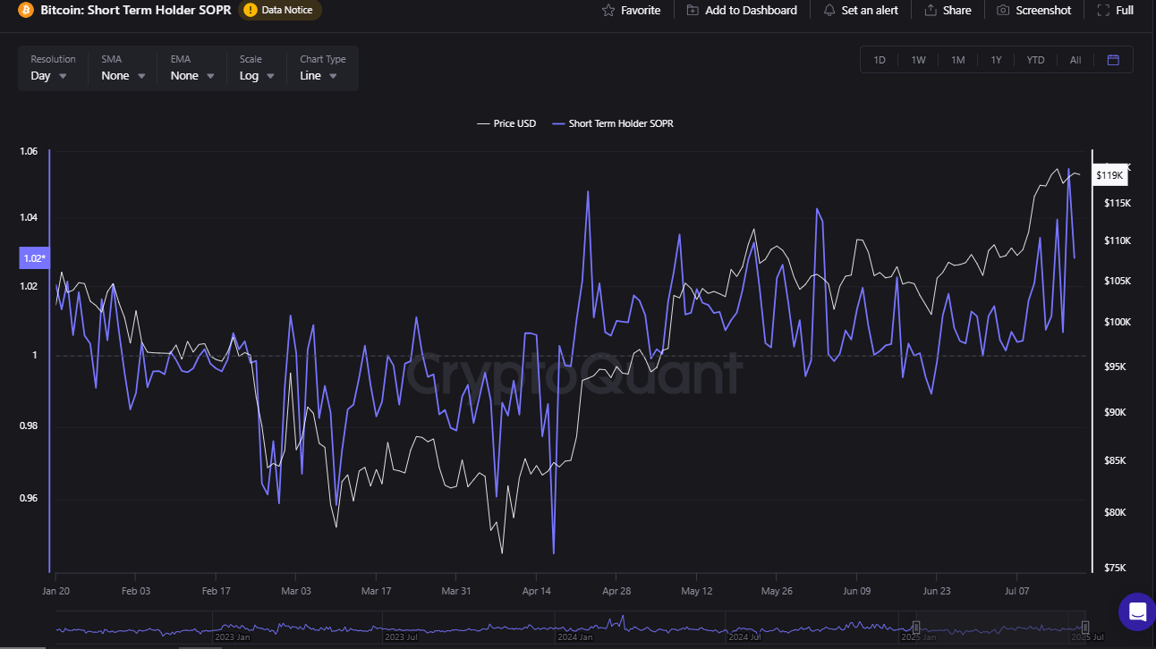 Bitcoin SOPR at 1.02 | Source: CryptoQuant