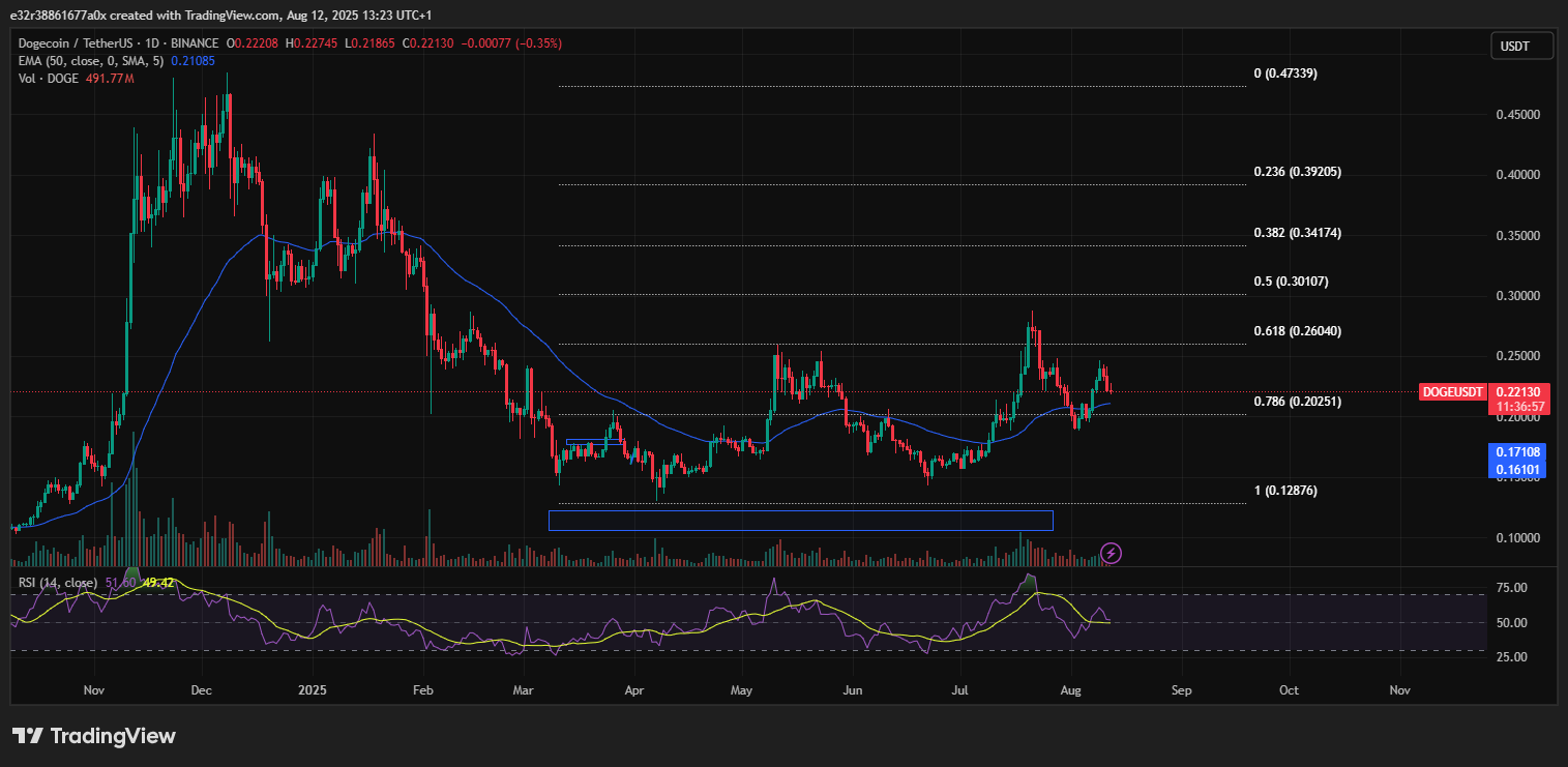 Dogecoin’s price outlook and RSI levels | Source: TradingView