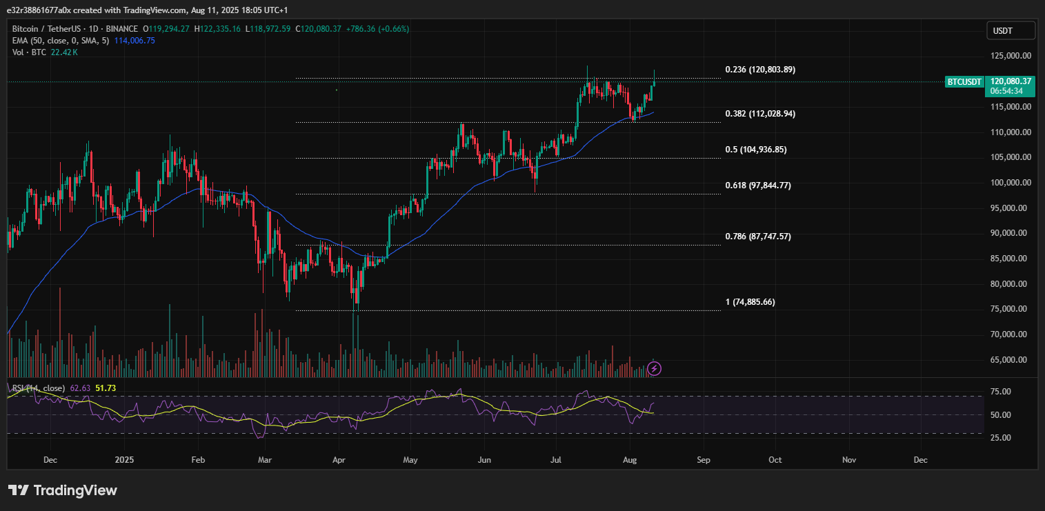 Support and resistance levels to watch for BTC | Source: TradingView