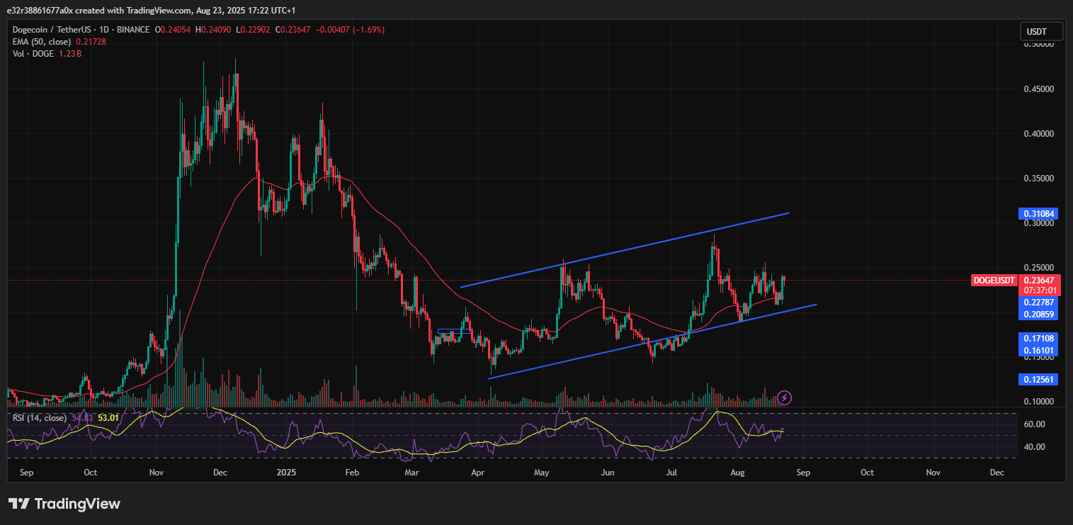 $DOGE montre des signes d'un possible renversement de tendance | Source : TradingView