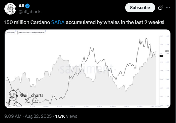 Whales have bought millions of Cardano in the last two weeks | Source: X