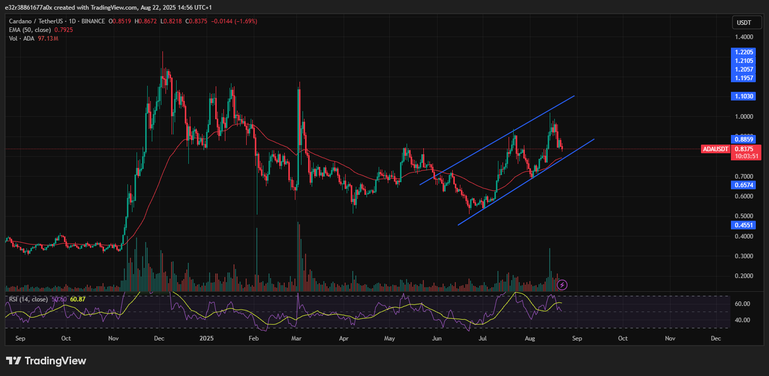 Cardano trading within an ascending channel shows that the bulls are in control | Source: TradingView