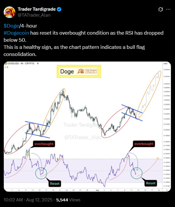 Outlook for Dogecoin from Trader Tardigrade | Source: X