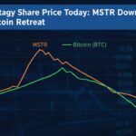 Microstrategy Share Price Today Mstr Down 4